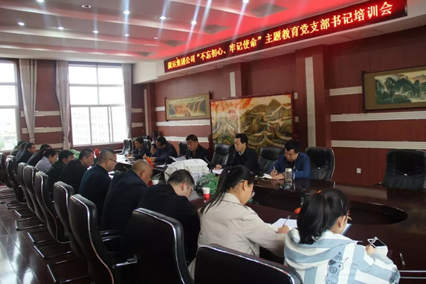 隴運集團(tuán)公司召開“不忘初心、牢記使命”主題教育黨支部書記培訓(xùn)會