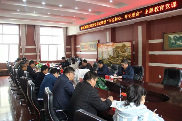 隴運(yùn)集團(tuán)公司召開(kāi)“不忘初心、牢記使命”主題教育專(zhuān)題黨課