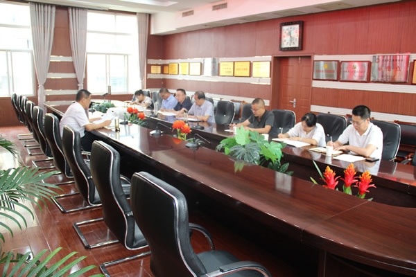 隴運(yùn)集團(tuán)公司召開(kāi)黨委（擴(kuò)大）會(huì)議 傳達(dá)學(xué)習(xí)習(xí)近平總書(shū)記視察甘肅重要講話(huà)和指示精神